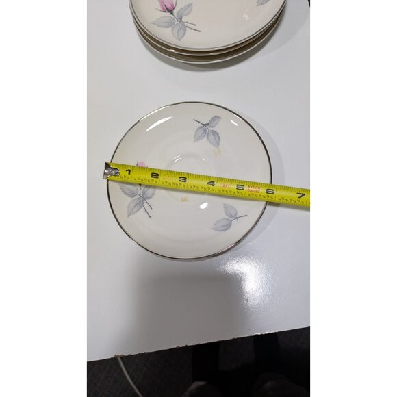 Bridal Rose Syracuse China Saucer With Floral Design - Picture 2 of 5